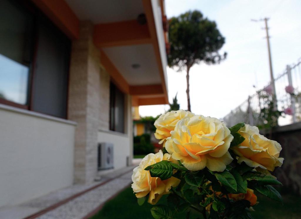 Villa Fokai Hotel Yenifoca Exteriér fotografie